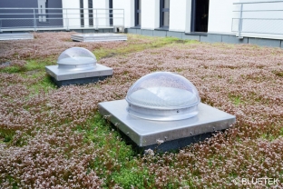 Lightube Office LED sur toiture végétalisée